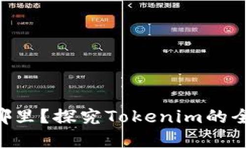 Tokenim注册地在哪里?探究Tokenim的全球运营与监管合规