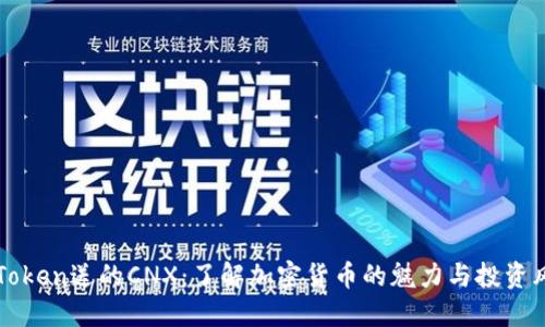 imToken送的CNX：了解加密货币的魅力与投资风险