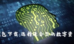 最新数字钱包下载：选择适合你的数字资产管理