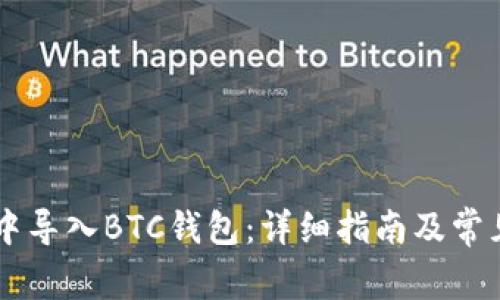 如何在IM中导入BTC钱包：详细指南及常见问题解答
