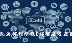充币到IM钱包为何到账慢？详解延迟原因与解决方