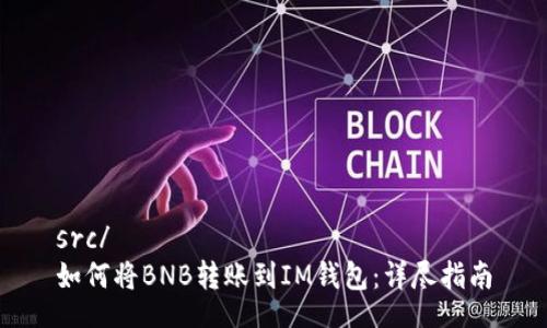 src/
如何将BNB转账到IM钱包：详尽指南