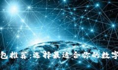 比较安全的钱包推荐：选择最适合你的数字资产
