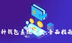区块链多币种钱包系统开发：全面指南与最佳实