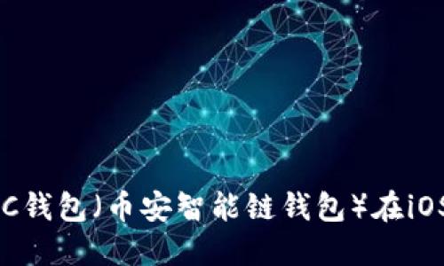 如何下载和使用BSC钱包（币安智能链钱包）在iOS设备上的完整指南