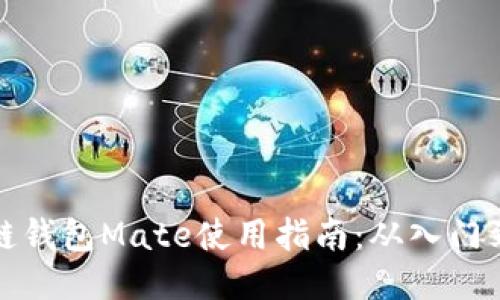 区块链钱包Mate使用指南：从入门到精通