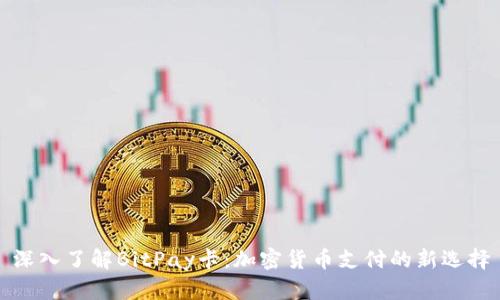 深入了解BitPay卡：加密货币支付的新选择