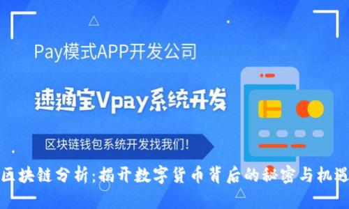 区块链分析：揭开数字货币背后的秘密与机遇