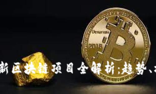 2023年最新区块链项目全解析：趋势、机会与风险