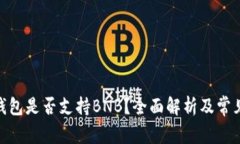 imToken钱包是否支持BNB？全面解析及常见问题解答