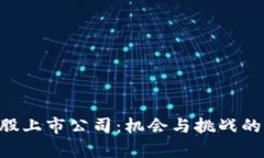 区块链A股上市公司：机会与挑战的深度解析