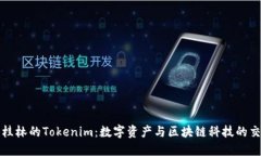 探索桂林的Tokenim：数字资产与区块链科技的交汇