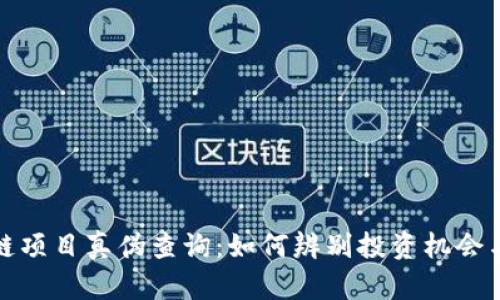区块链项目真伪查询:如何辨别投资机会与风险