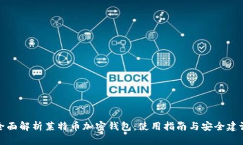 全面解析莱特币加密钱包:使用指南与安全建议