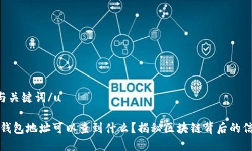 u与关键词/u

有钱包地址可以查到什么？揭秘区块链背后的信息