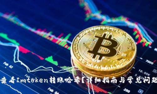 如何查看Imtoken转账哈希?详细指南与常见问题解析