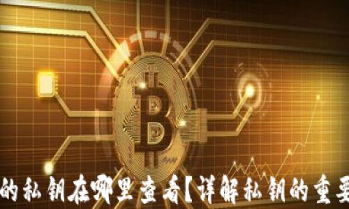 区块链钱包中的私钥在哪里查看?详解私钥的重要性与安全管理