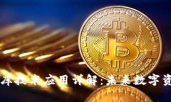 区块链钱包数据库技术应用详解:未来数字资产
