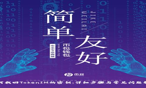 如何找回TokenIM的密钥:详细步骤与常见问题解答