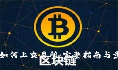 虚拟币如何上交易所:完整指南与步骤解析