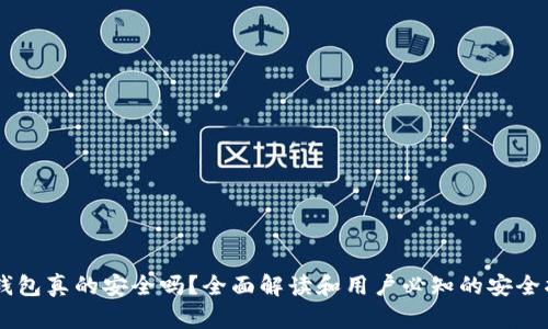 im钱包真的安全吗?全面解读和用户必知的安全指南