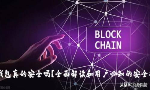 im钱包真的安全吗?全面解读和用户必知的安全指南