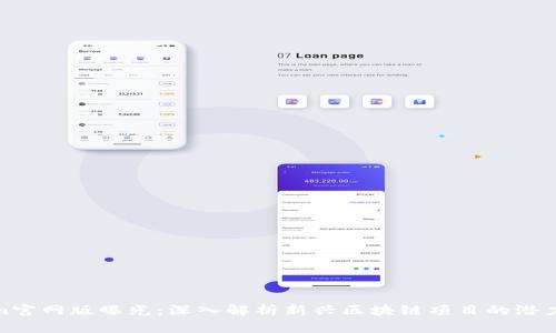 Tokenim官网版曝光:深入解析新兴区块链项目的潜力与风险