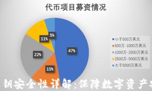 imToken私钥安全性详解:保障数字资产安全的关键