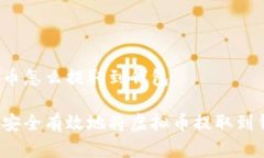 虚拟币怎么提取到钱包如何安全有效地将虚拟币