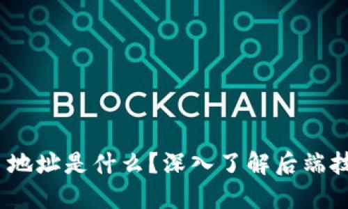 Tokenim 地址是什么？深入了解后端技术与应用