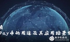 优质OKPay币的用途及其应用场景分析