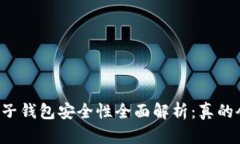 区块链电子钱包安全性全面解析:真的会被盗吗