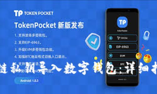 如何安全地将区块链私钥导入数字钱包:详细指南与常见问题解答