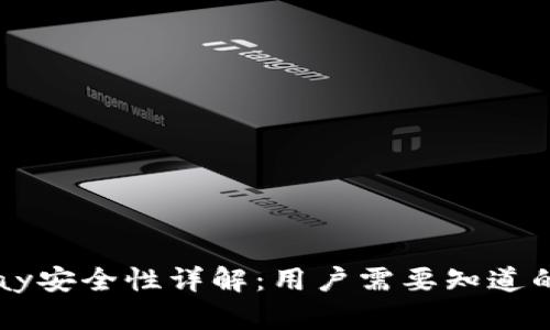 BitPay安全性详解：用户需要知道的一切
