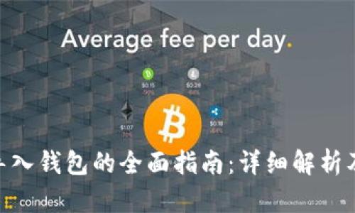 imToken导入钱包的全面指南：详细解析及使用技巧