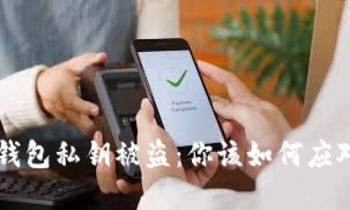 虚拟币钱包私钥被盗:你该如何应对与防范
