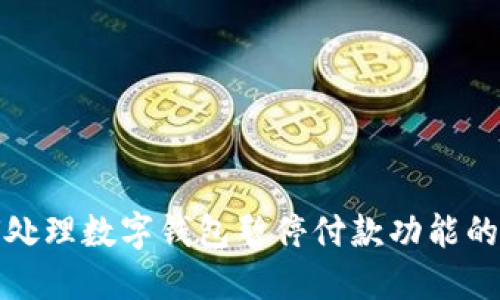 如何处理数字钱包暂停付款功能的情况