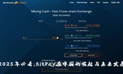 2025年必看：BitPay在中国的崛起与未来发展