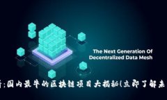 2025必看：国内最牛的区块链项目大揭秘！立即了