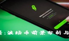 2025必看：波场币前景分析与投资建议