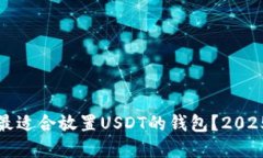 如何选择最适合放置USDT的钱包？2025必看指南