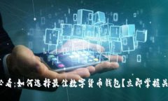 2025必看：如何选择最佳数字货币钱包？立即掌握