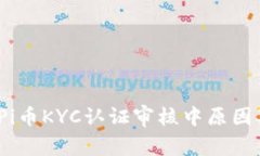 立即了解：Pi币KYC认证审核中原因及解决方案