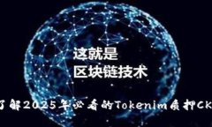 立即了解2025年必看的Tokenim质押CKB指南
