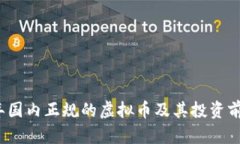 2023年国内正规的虚拟币及其投资前景分析