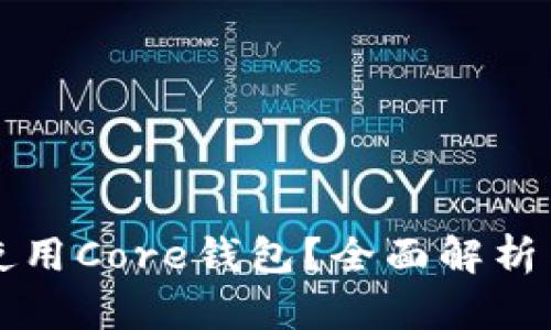 如何安全使用Core钱包？全面解析与实用指南
