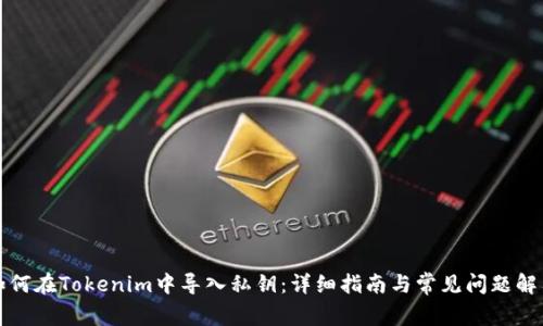 如何在Tokenim中导入私钥：详细指南与常见问题解答
