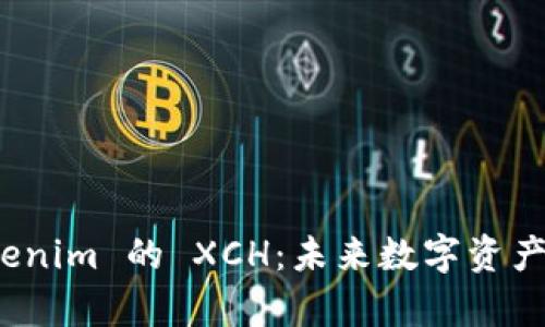 深入解析 Tokenim 的 XCH：未来数字资产的潜力与机遇