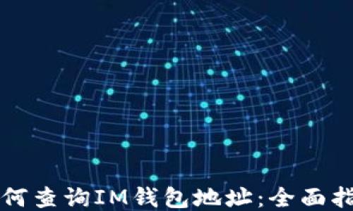 
如何查询IM钱包地址：全面指南