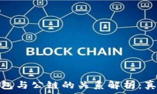   
区块链钱包与公链的关系解析：真相大揭秘